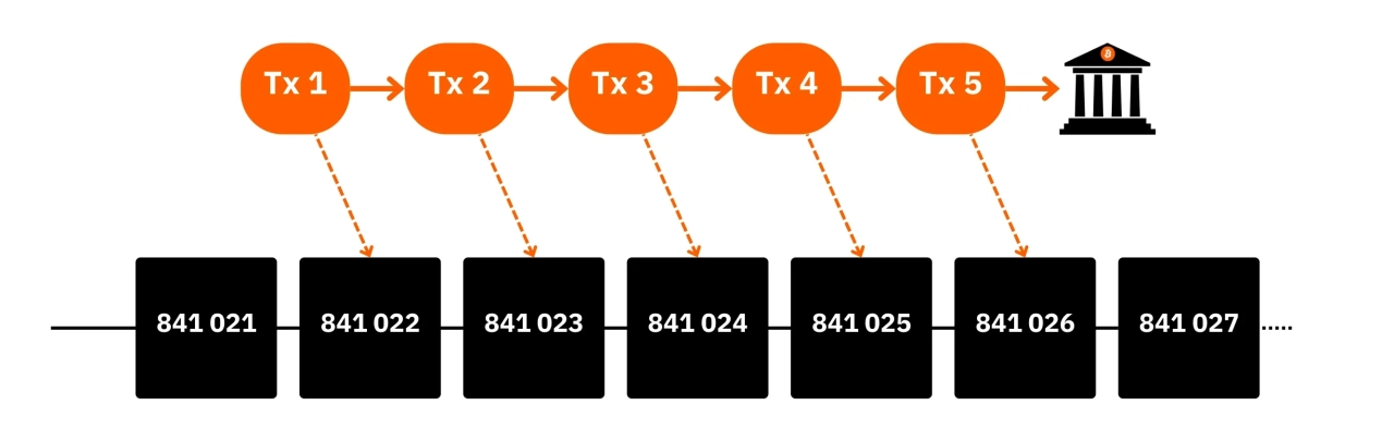 BTC204