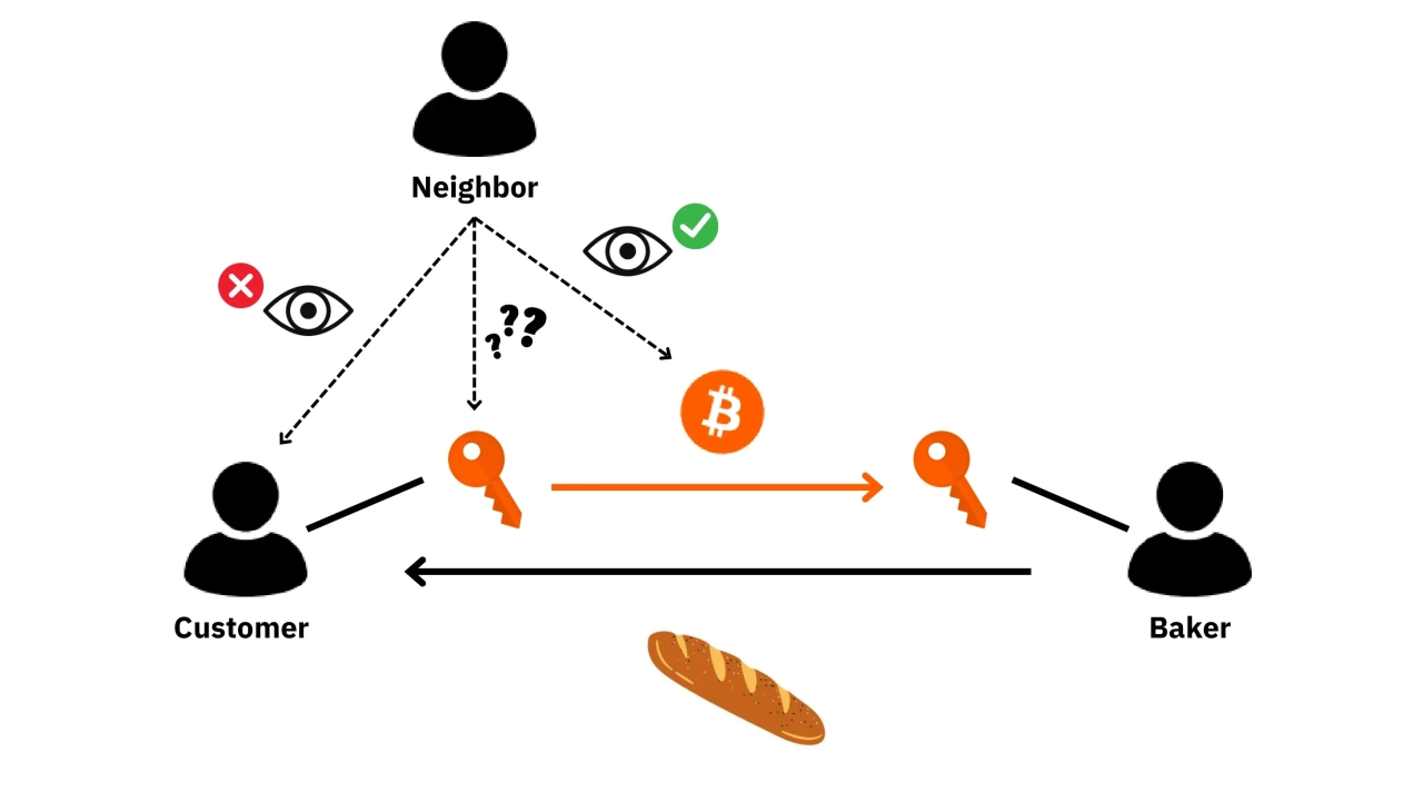 BTC204
