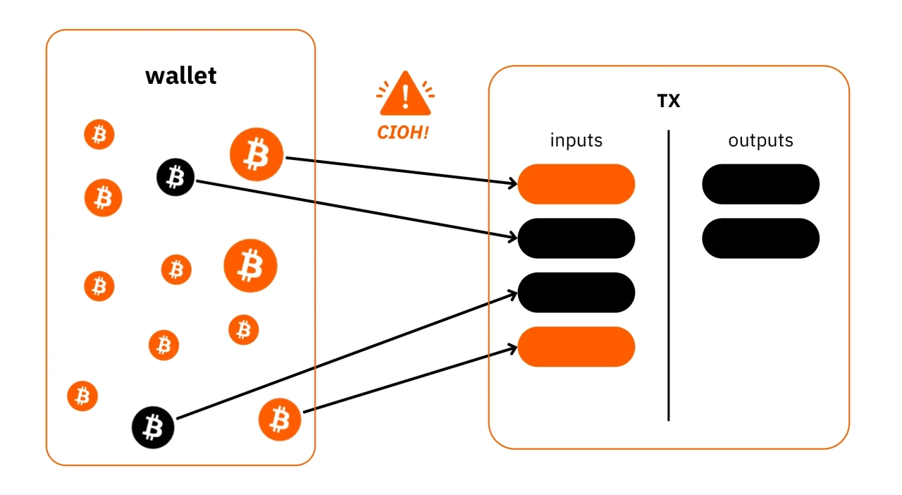 BTC204
