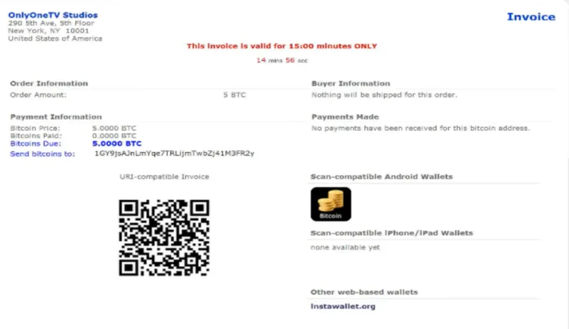 Payment request via BitPay in July 2011