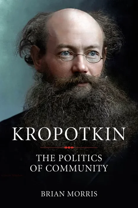 Structural analysis of political families: socialism versus libertarianism