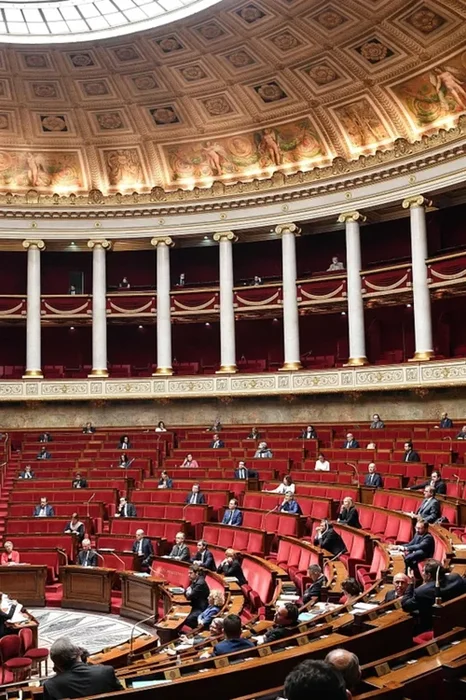 Comparative analysis of economic debates across political families