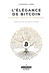 The Elegance of Bitcoin: History, issues and principles