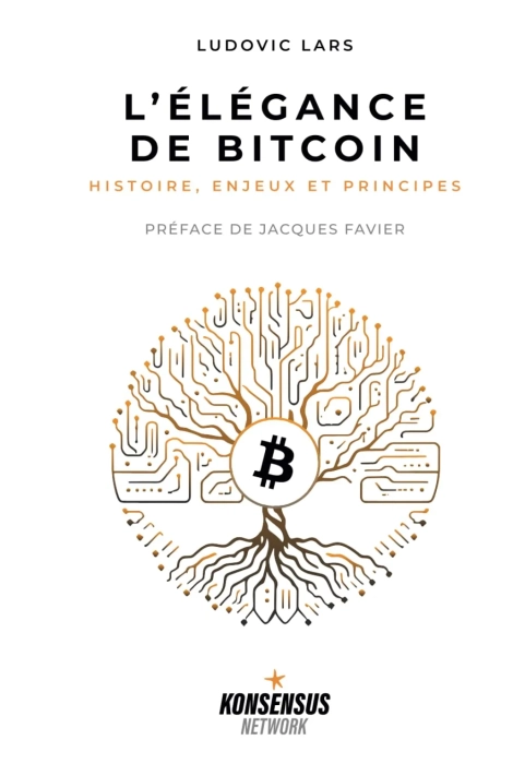 The Elegance of Bitcoin: History, issues and principles