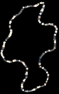 Shelling Out: The Origins of Money