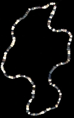 Shelling Out: The Origins of Money