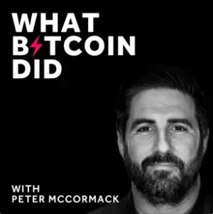 What Bitcoin Did