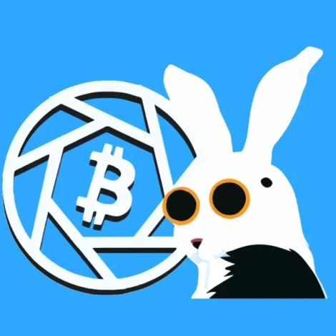 Bitcoin Filmfest