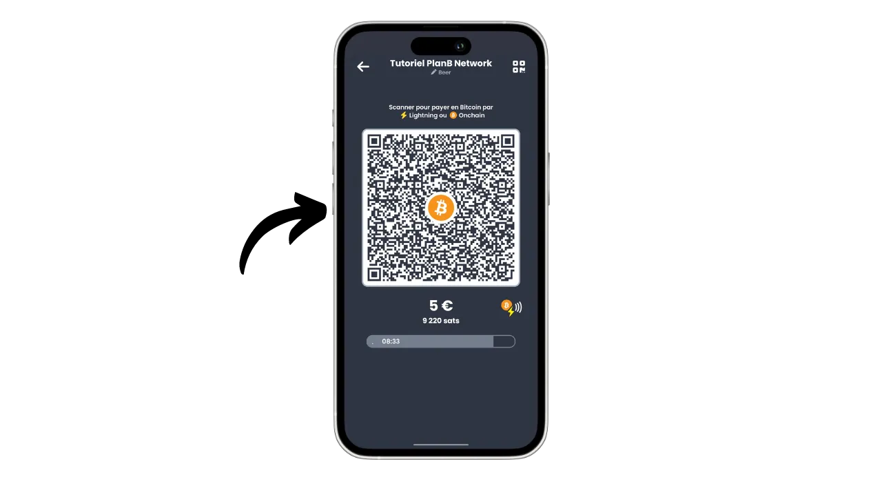 SWISS BITCOIN PAY