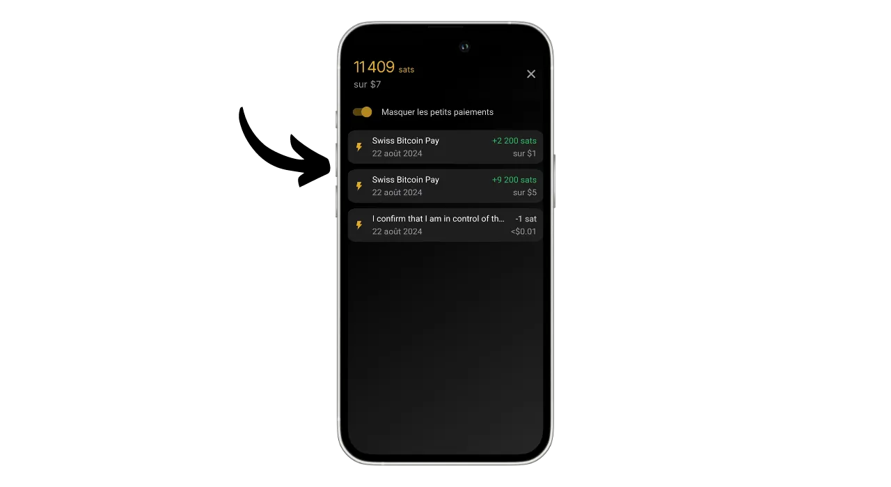 SWISS BITCOIN PAY