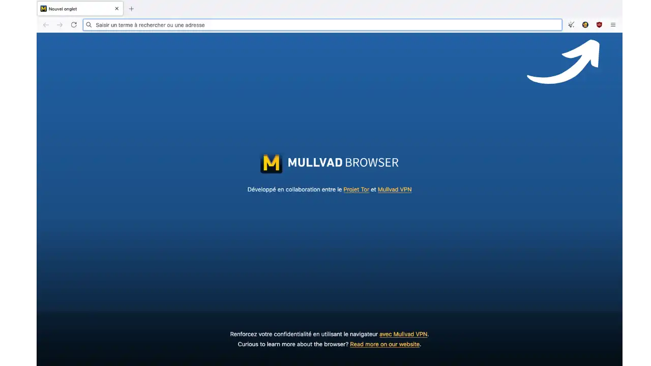 MULLVAD BROWSER