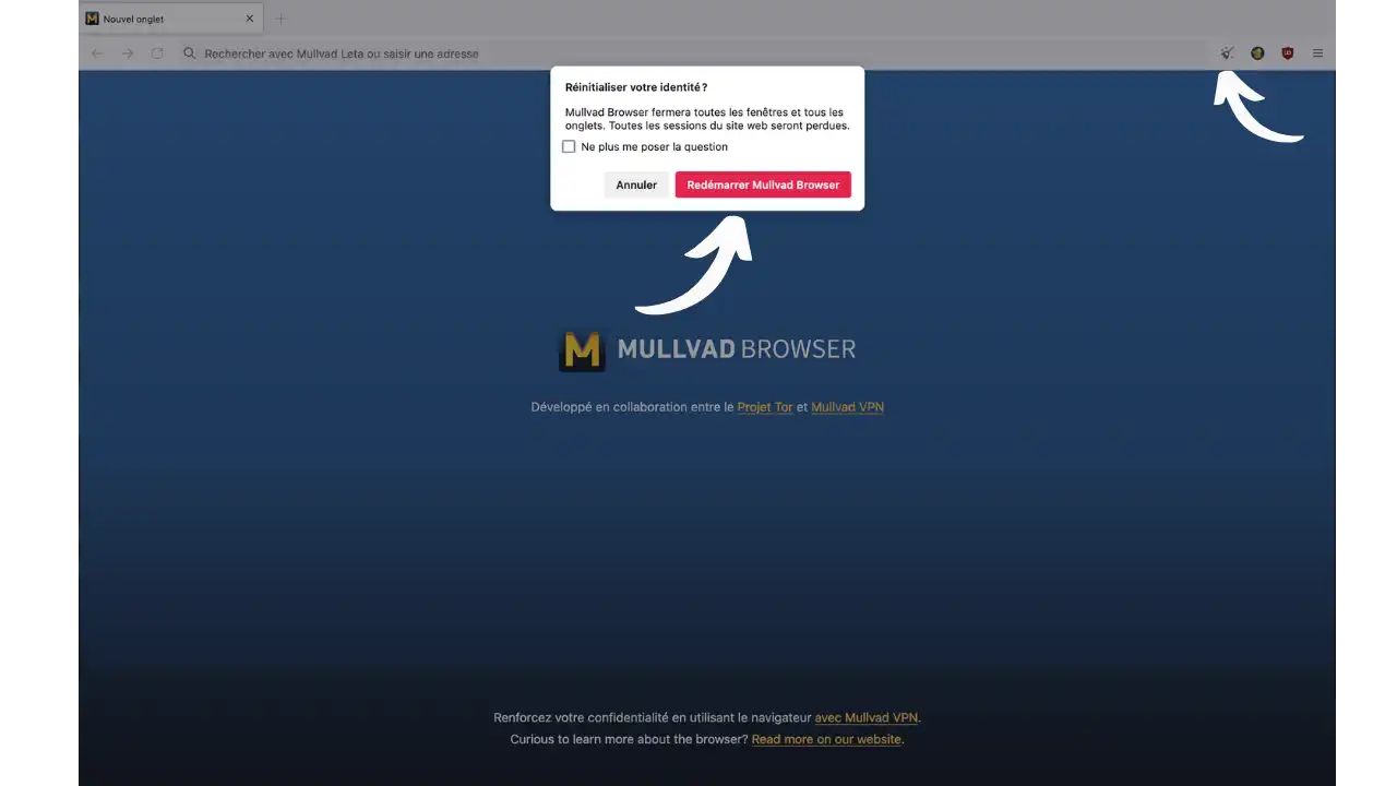 MULLVAD BROWSER