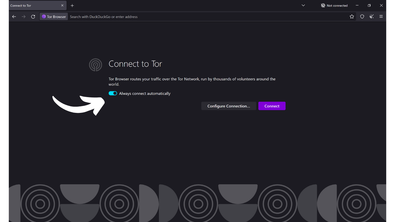 TOR BROWSER