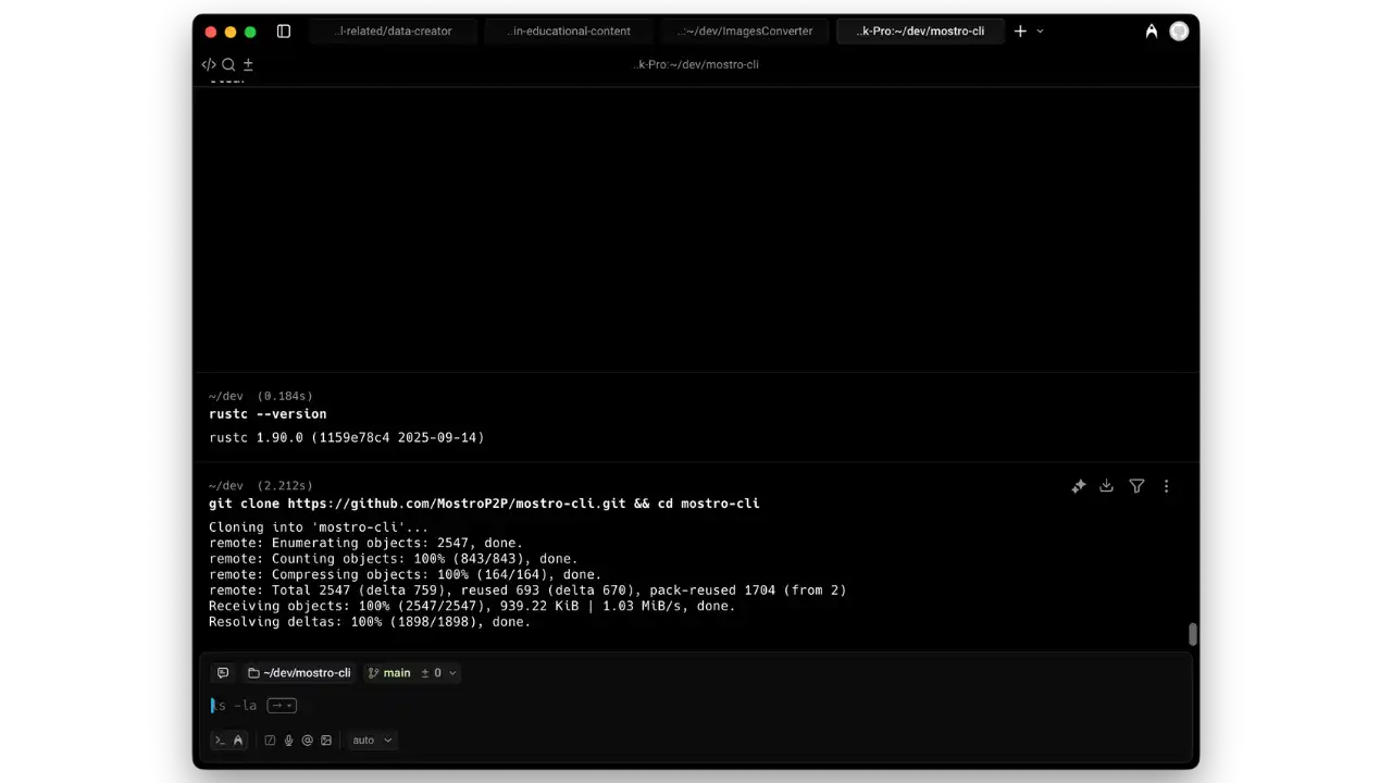 Vérification Rust et clonage
