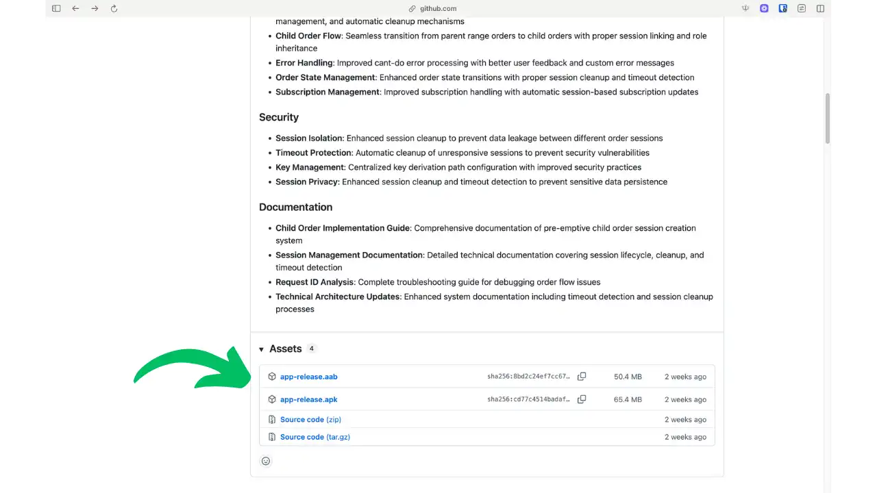 Page GitHub Releases