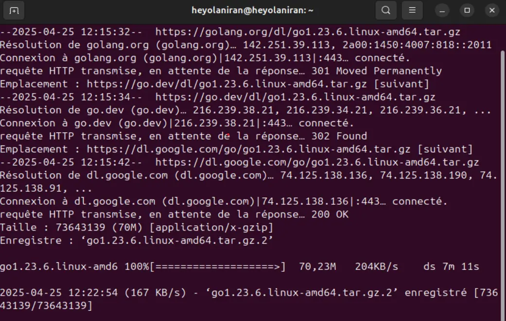 go-install