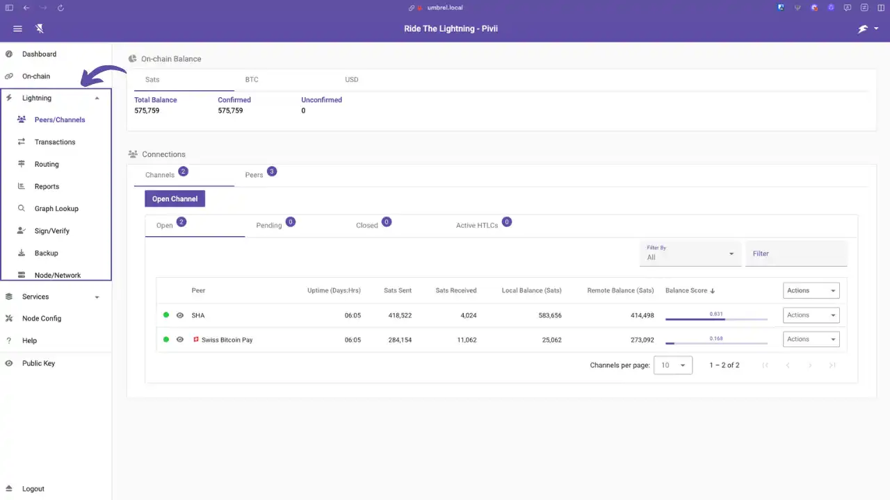 Vue de gestion des canaux Lightning (onglet "Peers/Channels" ouvert)
