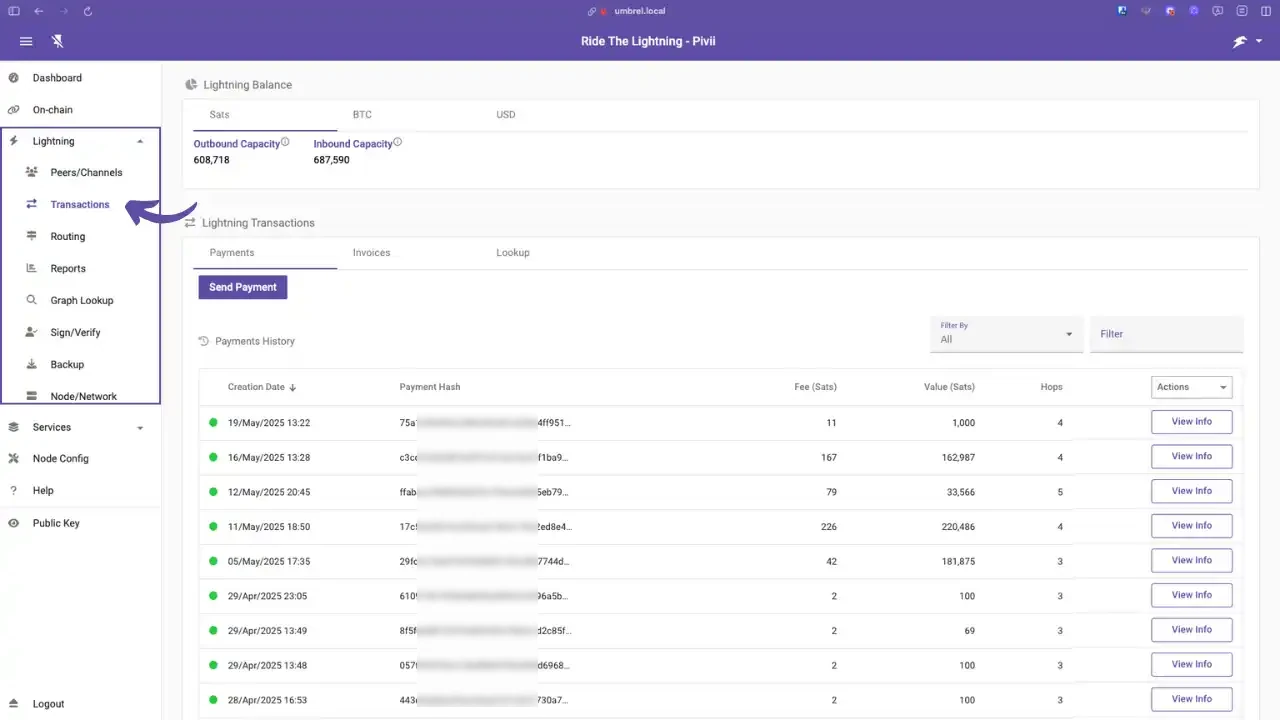 Historique des transactions Lightning (onglet "Transactions" > "Payments")