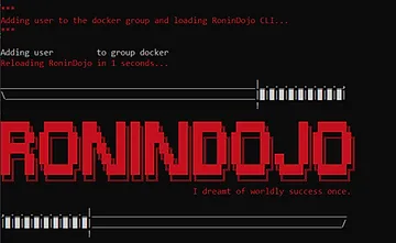RoninCLI launch animation