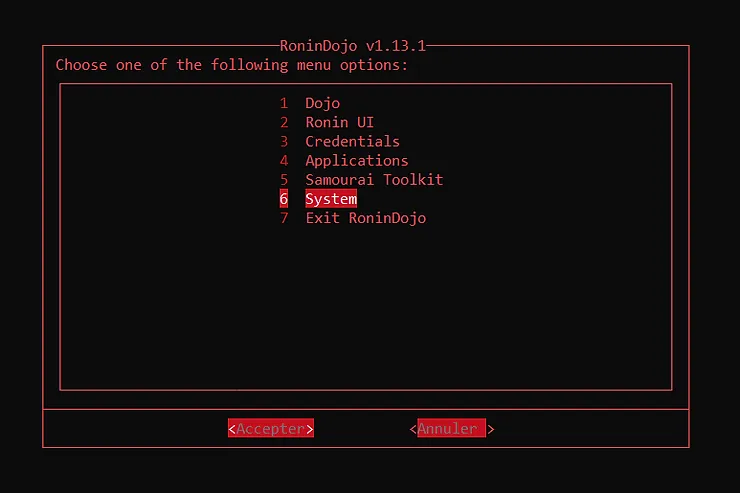 RoninCLI navigation menu to System