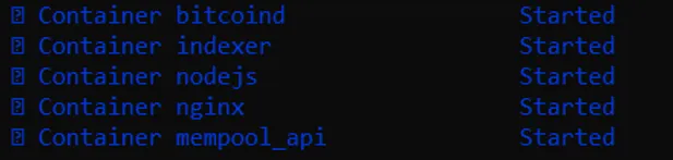 Node container startup