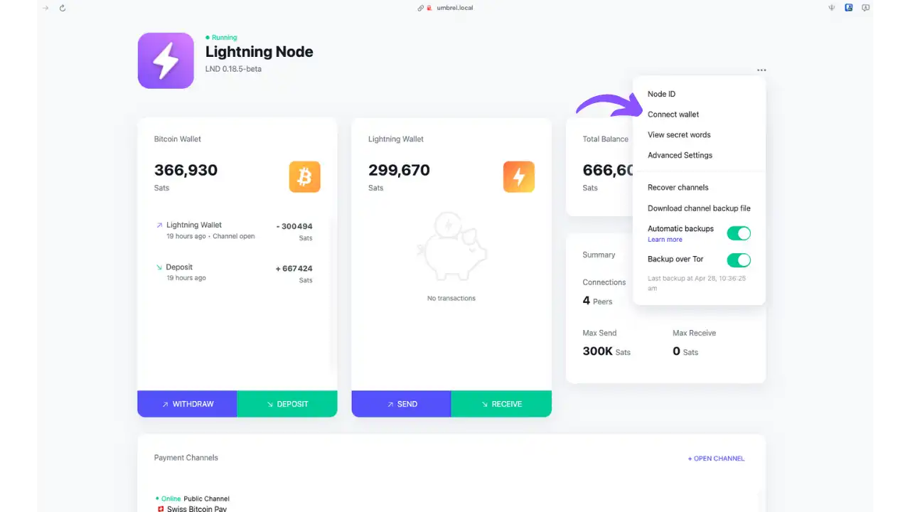 Bouton "Connect Wallet" dans l'interface LND