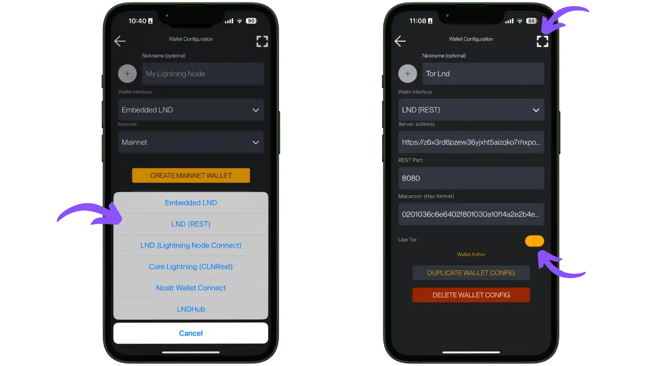 Configuration de la connexion LND dans Zeus