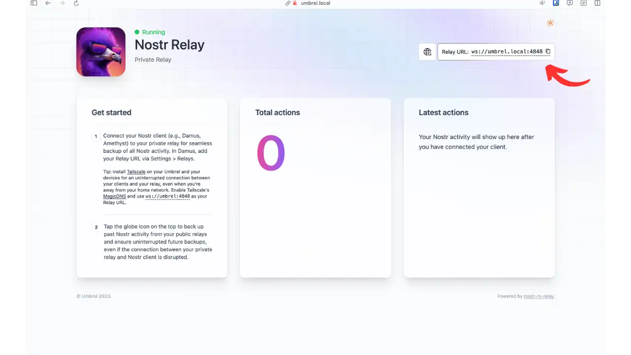 Interface de Nostr Relay avec l'URL du relais