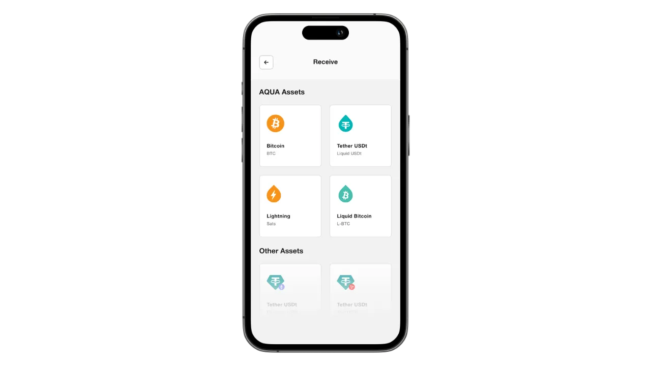 Aqua | Plan ₿ Academy