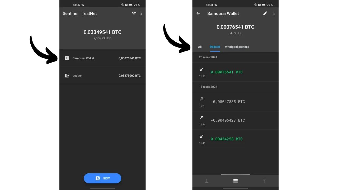 Sentinel | Plan ₿ Academy