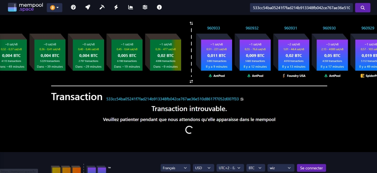 Looking up the TXID on mempool.space