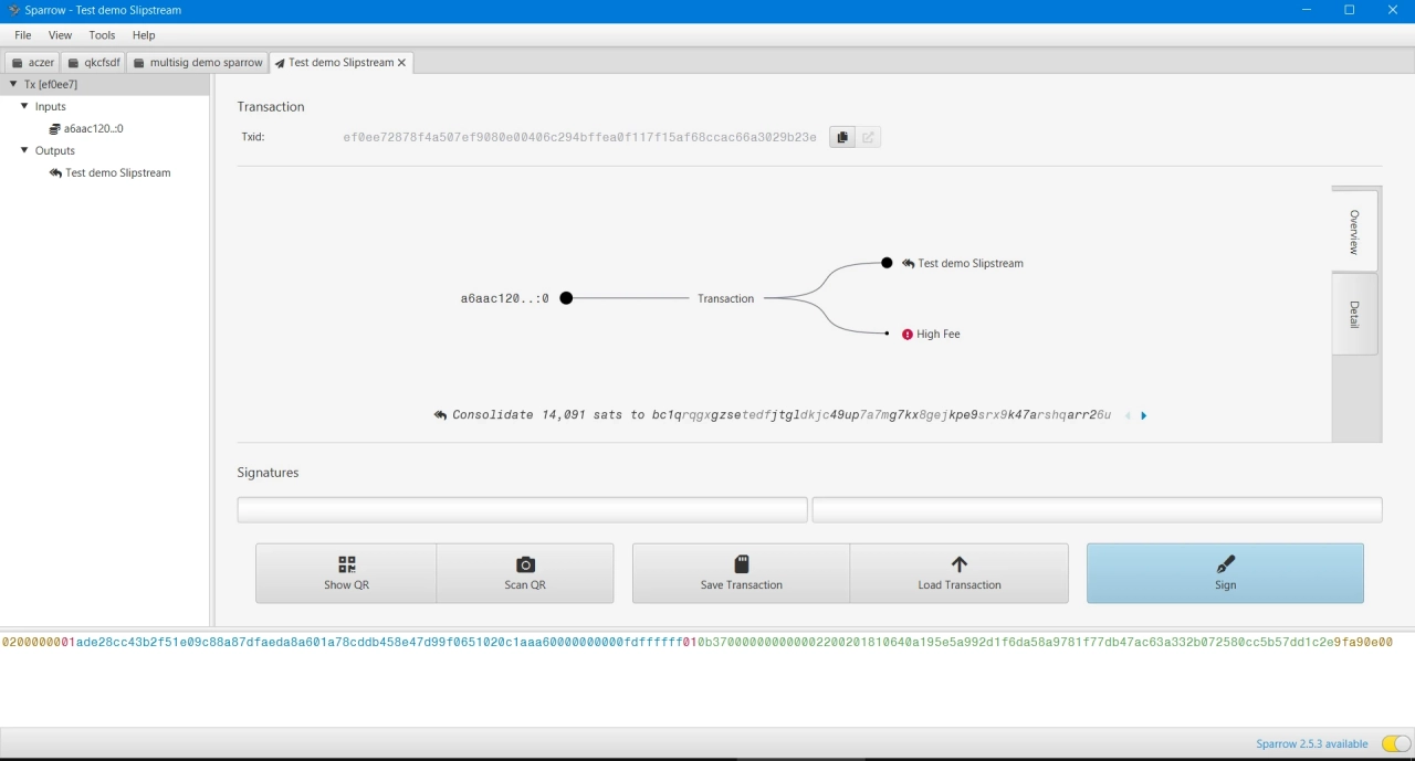 Signing the transaction with the multisig keys