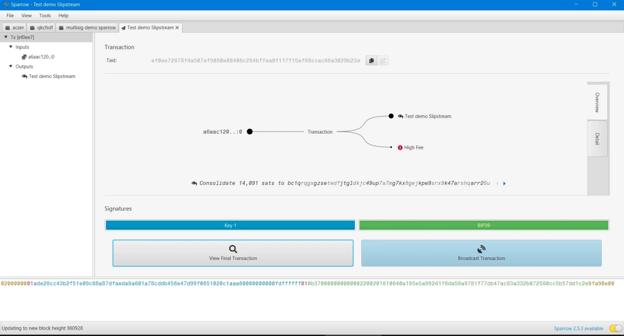 Signed transaction, ready but not broadcast