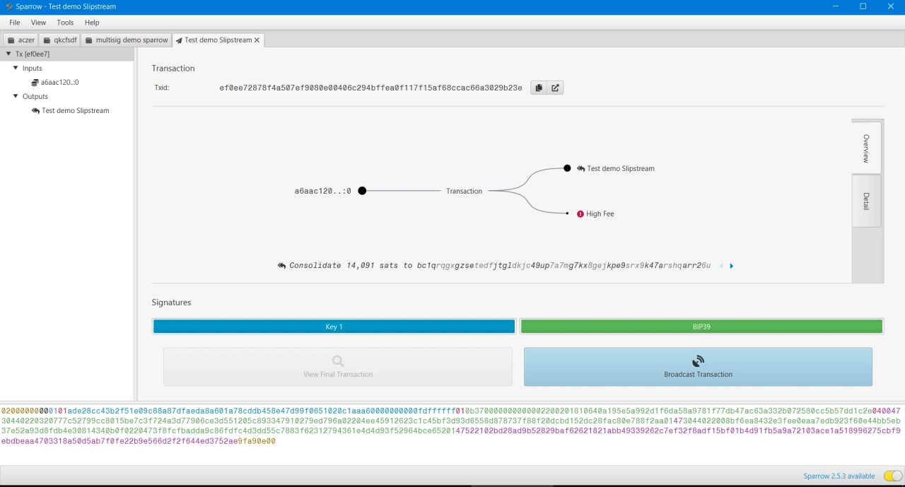 Displaying the signed transaction script