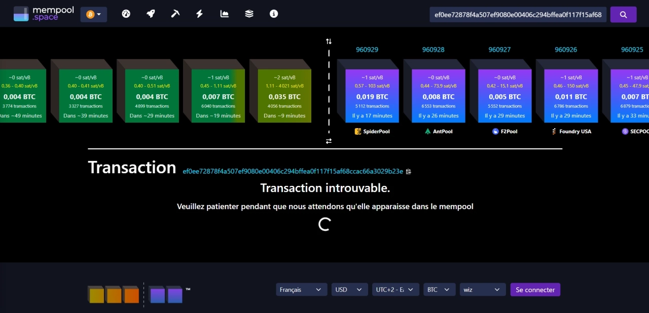 Looking up the TXID on mempool.space